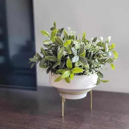 Dark Chocolate 4 Persons Down Town *