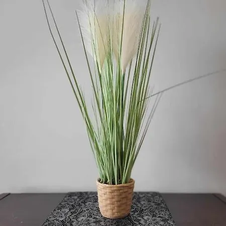 Dark Chocolate 4 Persons Down Town *