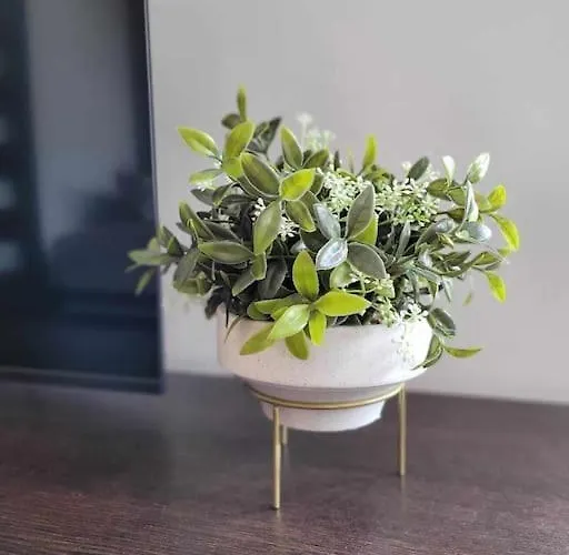 Dark Chocolate 4 Persons Down Town *