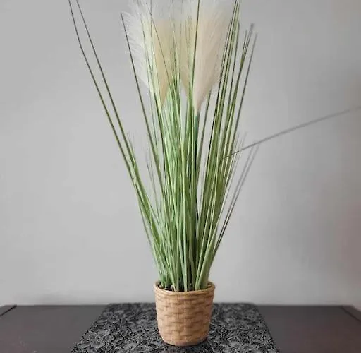 Dark Chocolate 4 Persons Down Town *